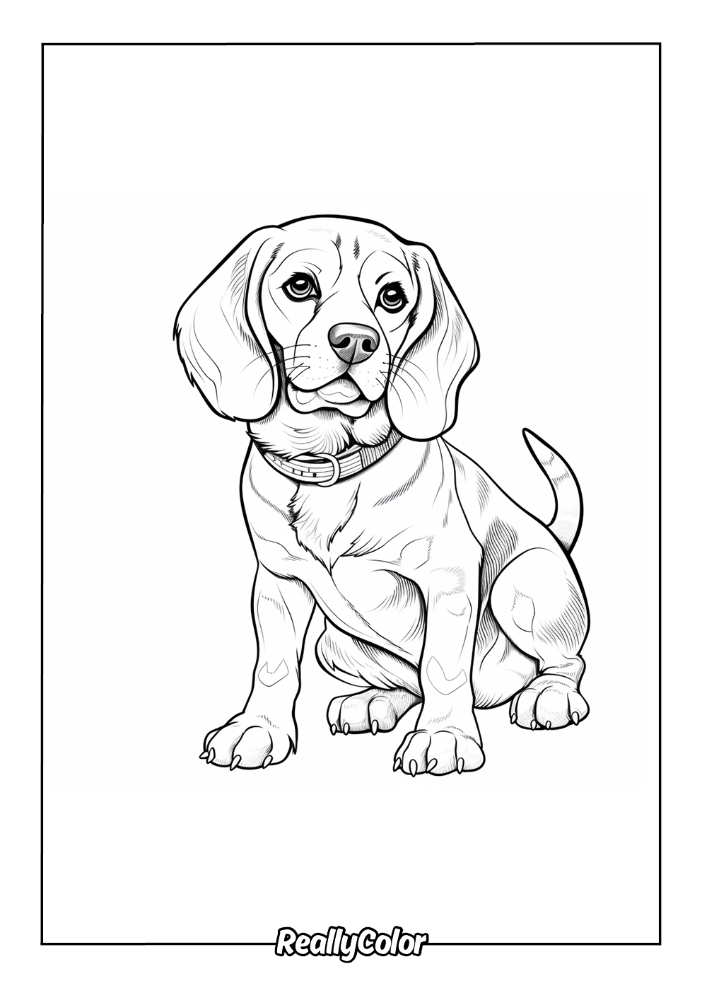 Free Printable Beagle Coloring Pages