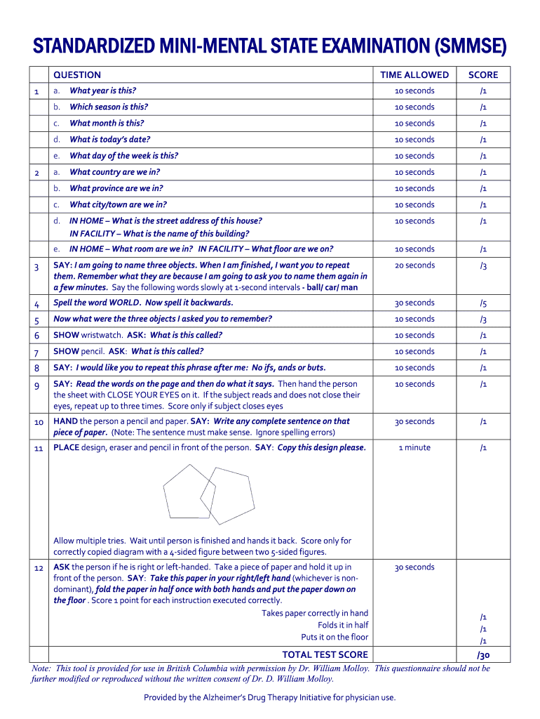 pdf printable mmse form