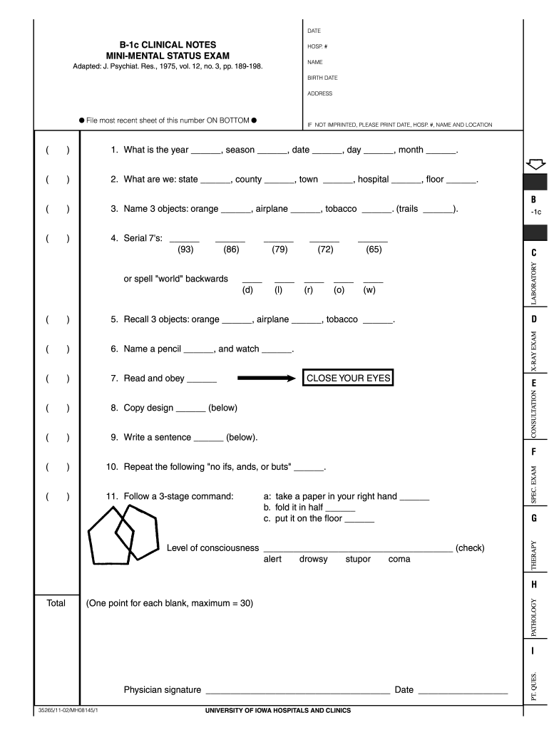Mini Mental State Examination Form Fill Out Sign Online DocHub