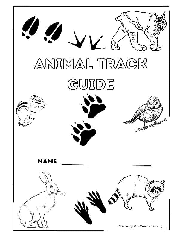 Accessible animal science worksheet layout