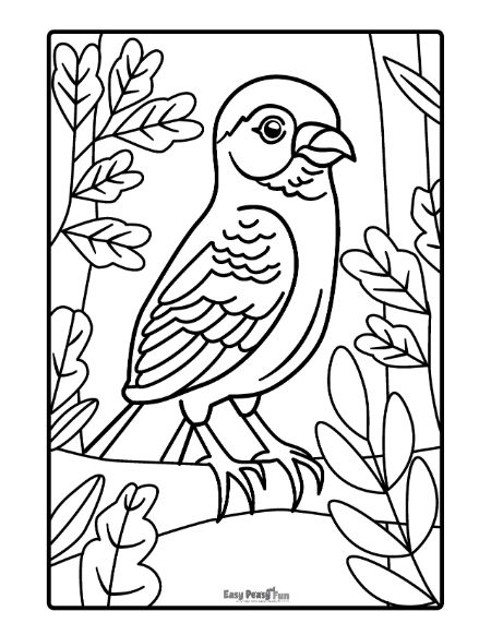 Red-headed chickadee perched on a branch