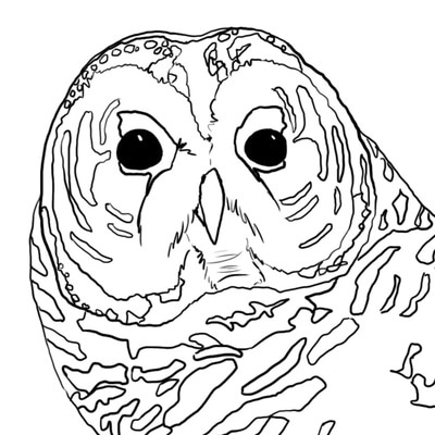 Young artist coloring a simple owl outline