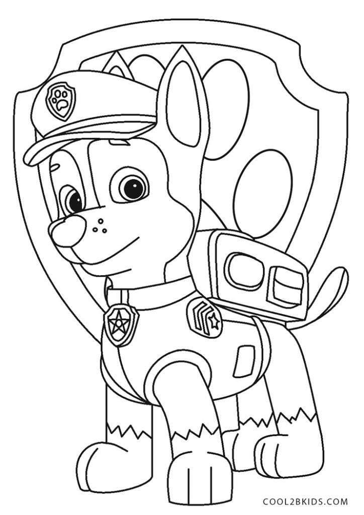 variety of color palettes shown beside paw patrol pages