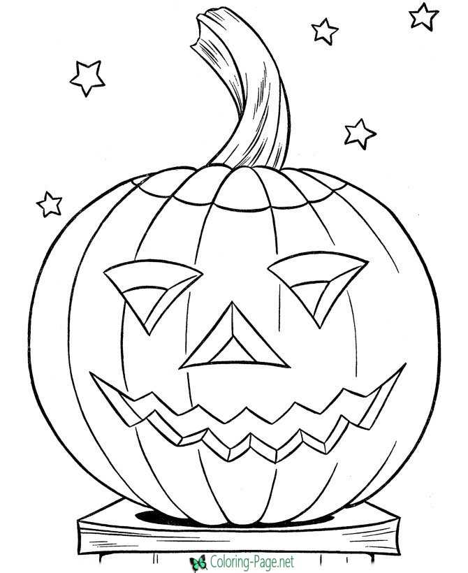 Seasonal coloring sheets arranged on display board