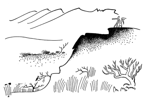 Various landforms sketches arranged for coloring