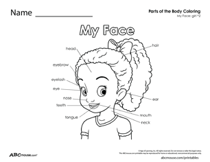 Colorful coloring sheets neatly organized with tabs